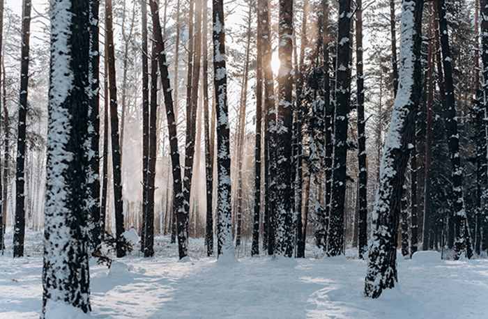 構建新型能源體系需立足本質安全