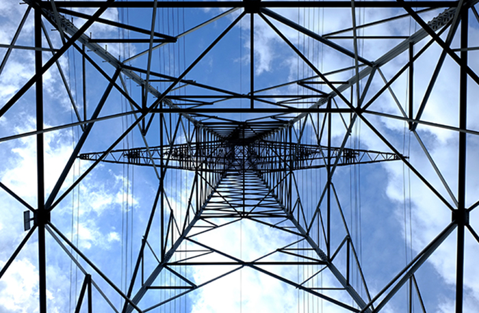 想買新能源汽車的注意啦！快來了解車輛購置稅減免政策！